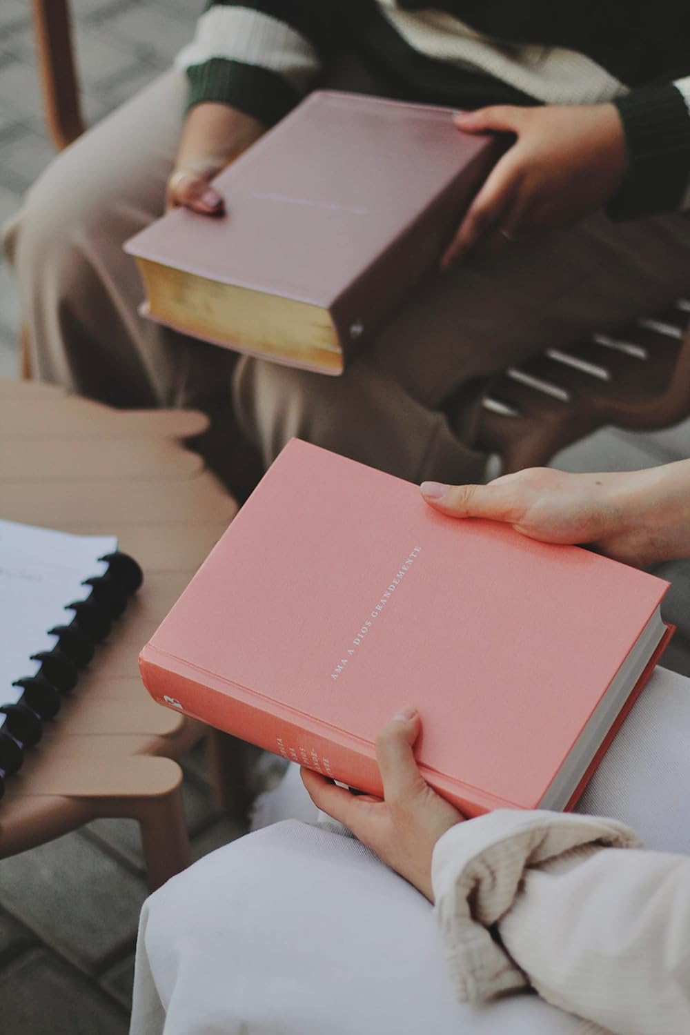Biblia NBLA Ama a Dios Grande Mente, Tapa Dura, Letra 10 puntos