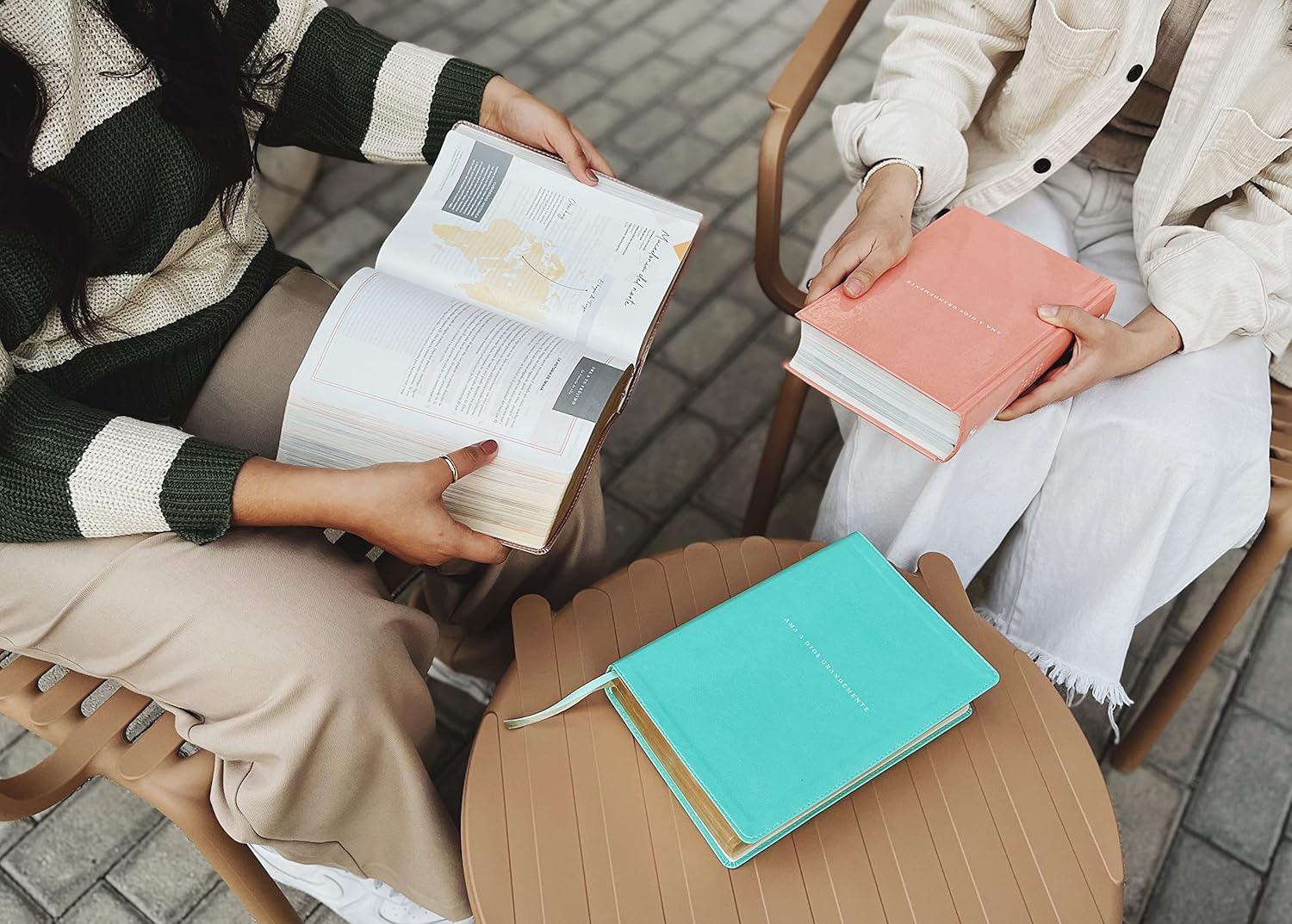 Biblia NBLA Ama a Dios Grande Mente, Tapa Dura, Letra 10 puntos