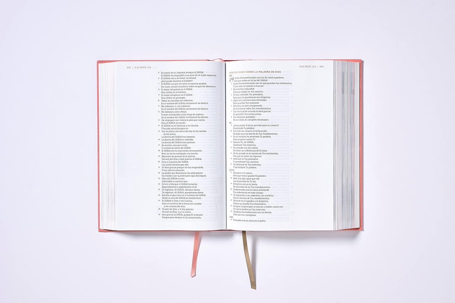 Biblia NBLA Ama a Dios Grande Mente, Tapa Dura, Letra 10 puntos