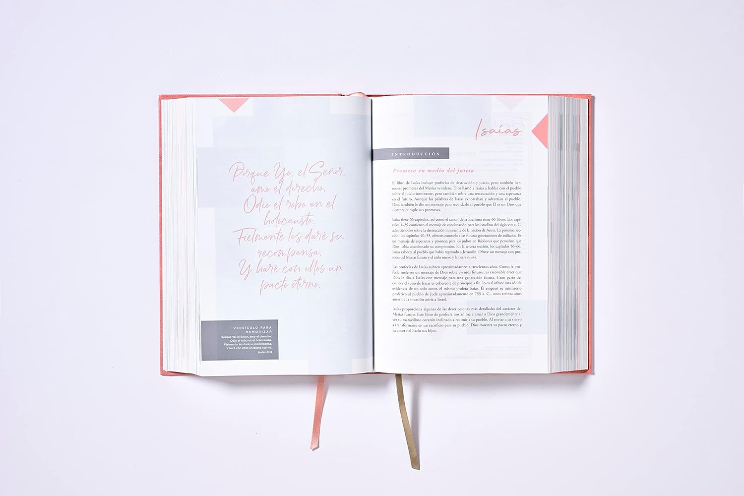 Biblia NBLA Ama a Dios Grande Mente, Tapa Dura, Letra 10 puntos