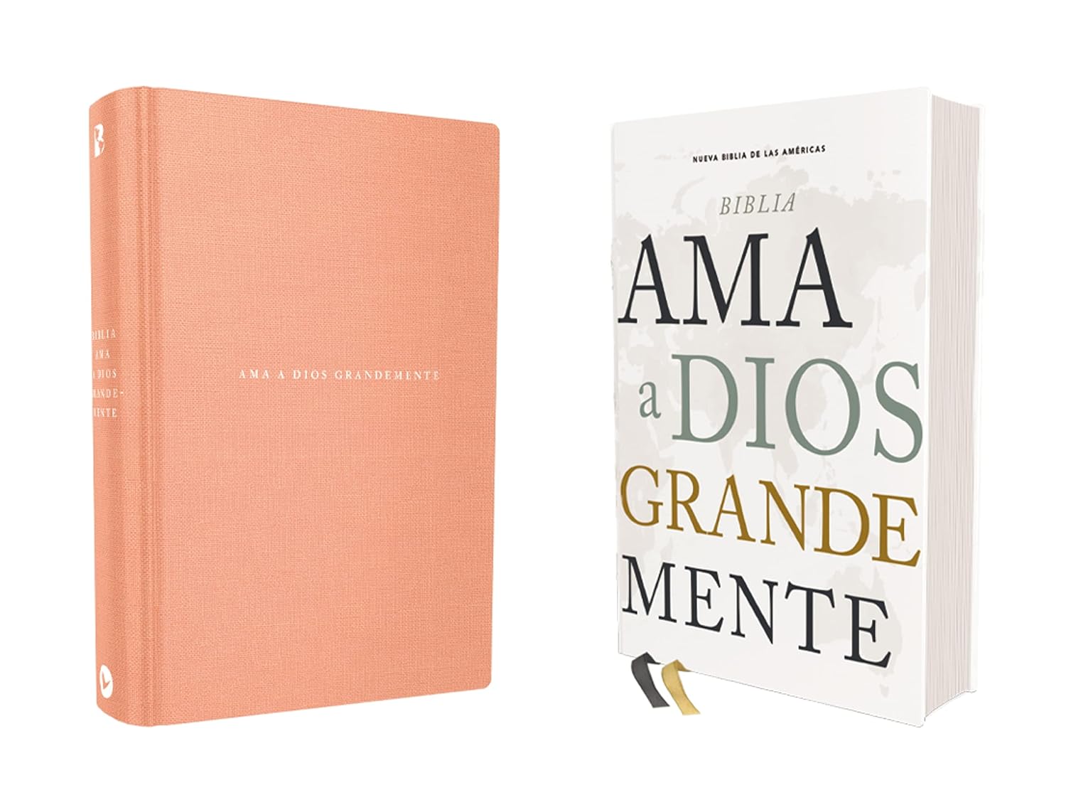 Biblia NBLA Ama a Dios Grande Mente, Tapa Dura, Letra 10 puntos