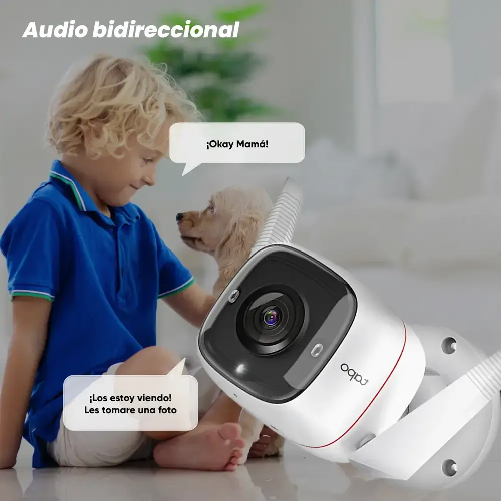 Cámara De Seguridad Tp-link Tapo C310 V1 Tapo Smart
