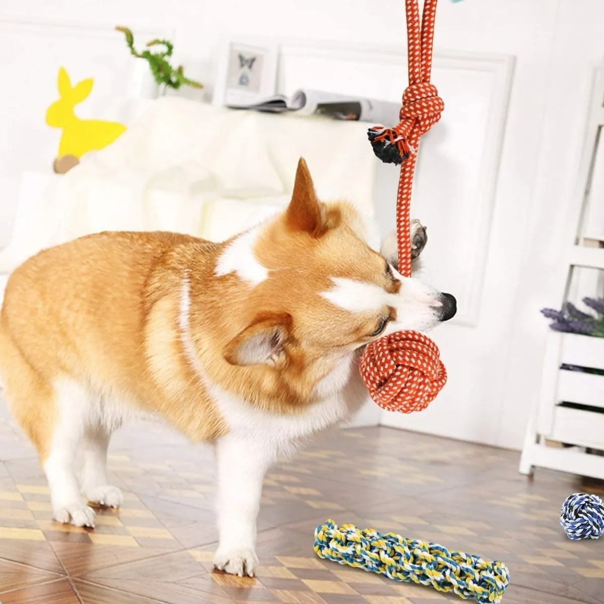 Juguetes De Cuerda Para Perro Morder Paquete De 10pz