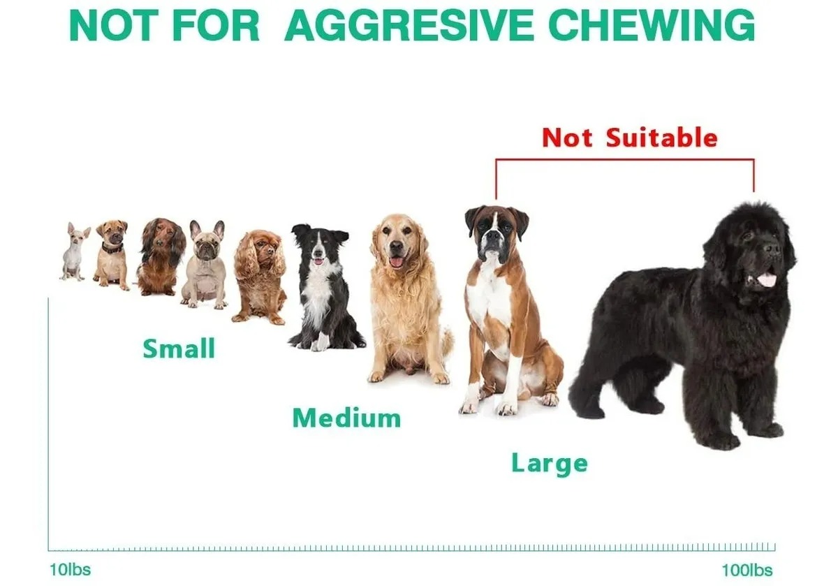 Juguetes De Cuerda Para Perro Morder Paquete De 10pz